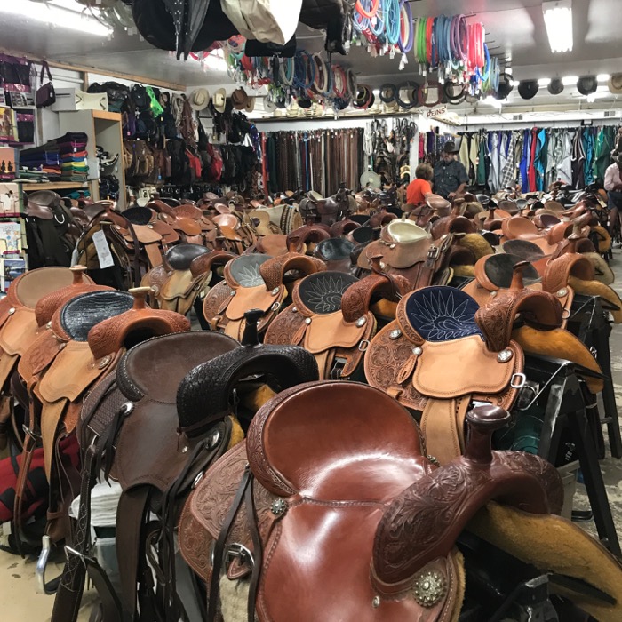 It Pays To Stop At Tack Shops Terry Golson