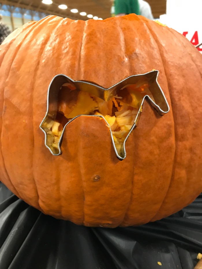 Halloween Pumpkin For Horse People Terry Golson   IMG 8785 