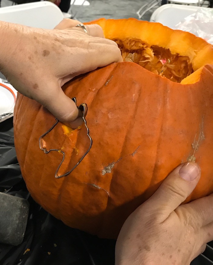 Halloween Pumpkin For Horse People Terry Golson   IMG 8800 