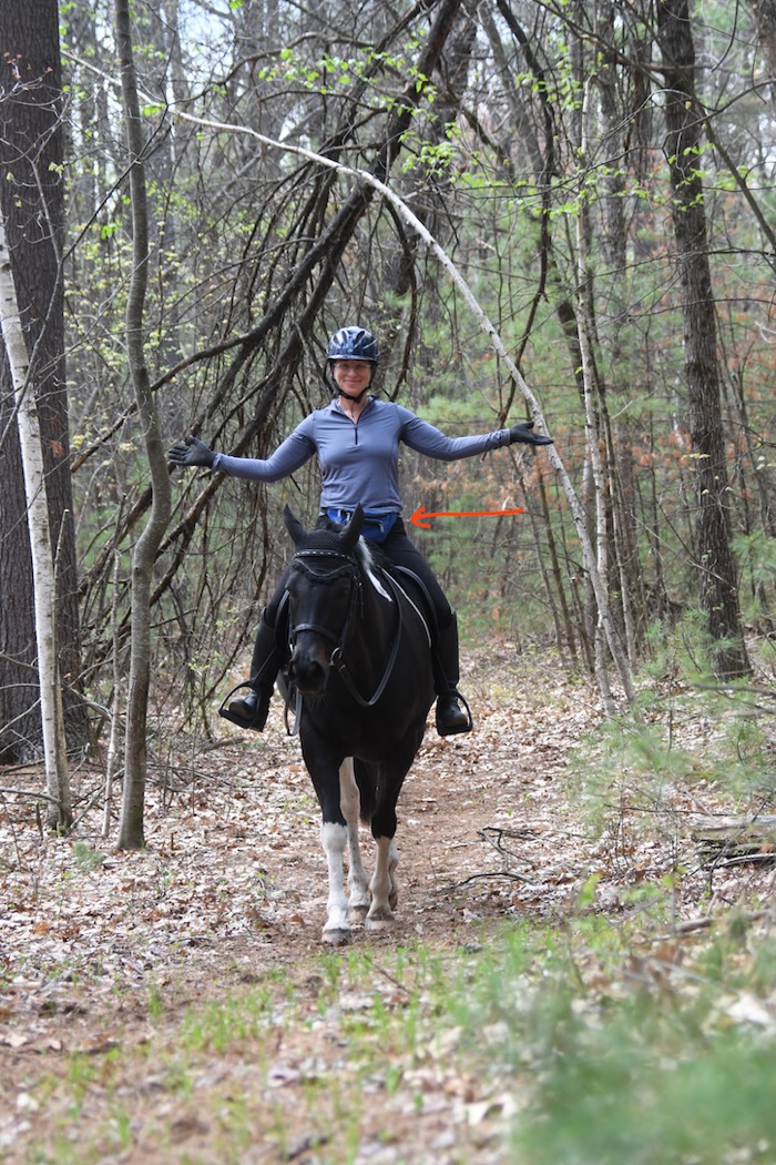 horse riding fanny pack
