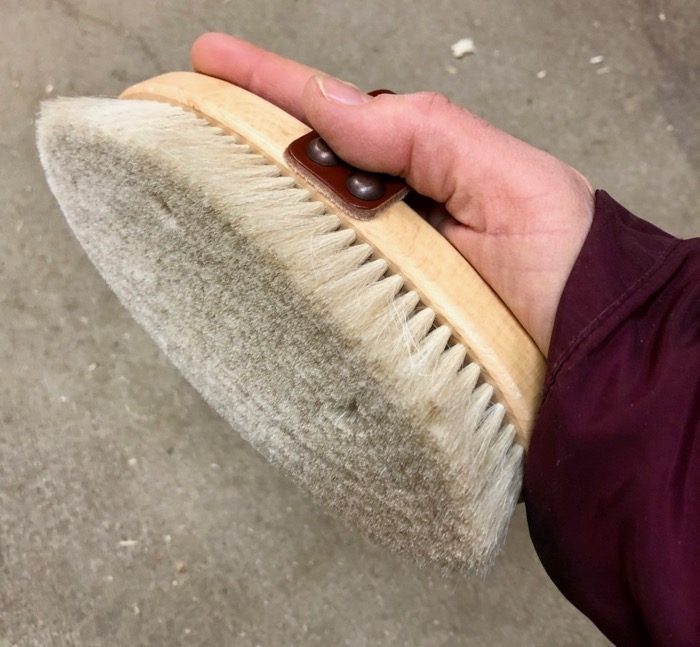 Horse Grooming Brushes – The Cooperative Horse