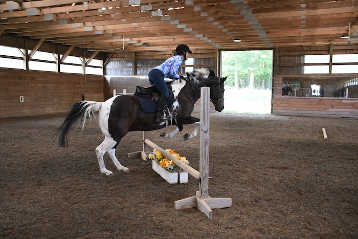 Garage Saddle Storage – Terry Golson