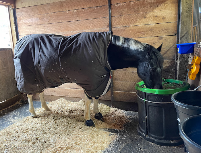 Horse food clearance near me